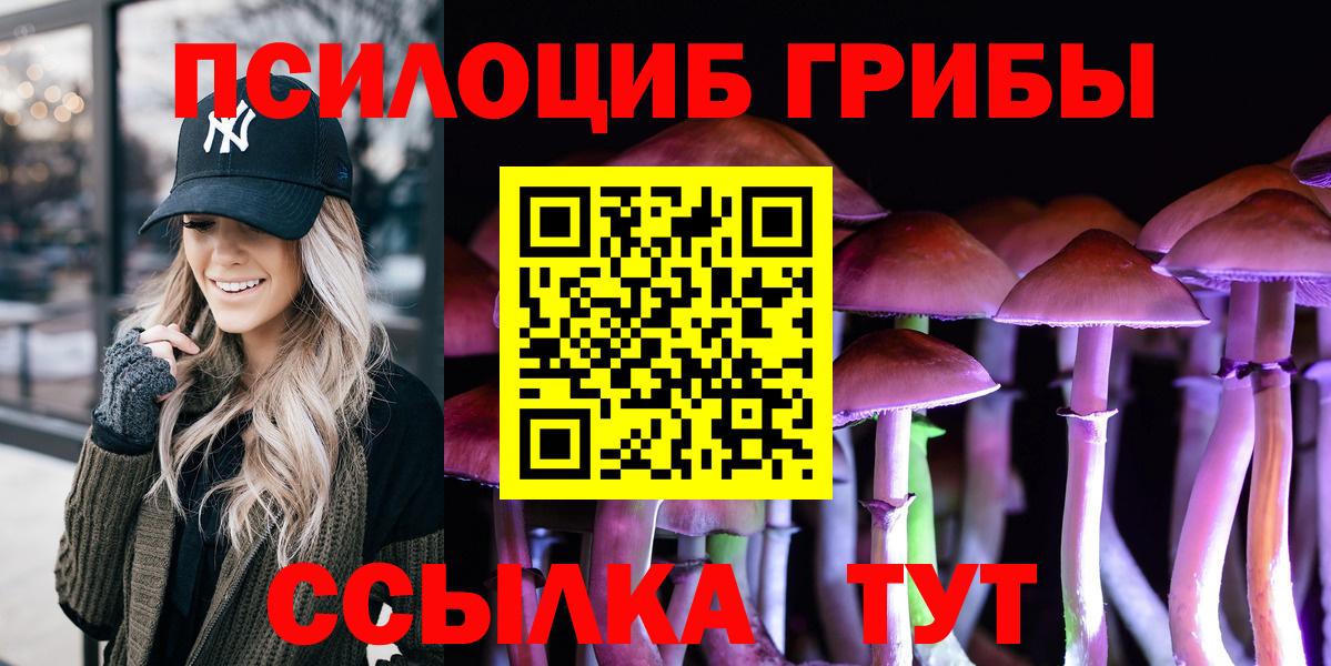 Галлюциногенные грибы Psilocybine cubensis Новочеркасск
